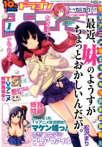 月刊ドラゴンエイジ 1月号 (発売日2013年12月09日) 表紙