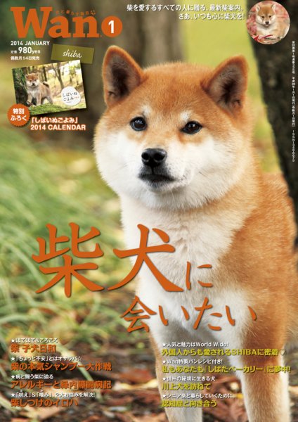 wan（わん） 2014年1月号 (発売日2013年12月14日) 表紙
