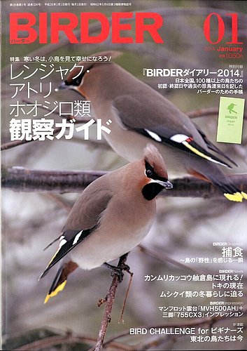 BIRDER（バーダー） 2014年1月号 (発売日2013年12月16日) | 雑誌