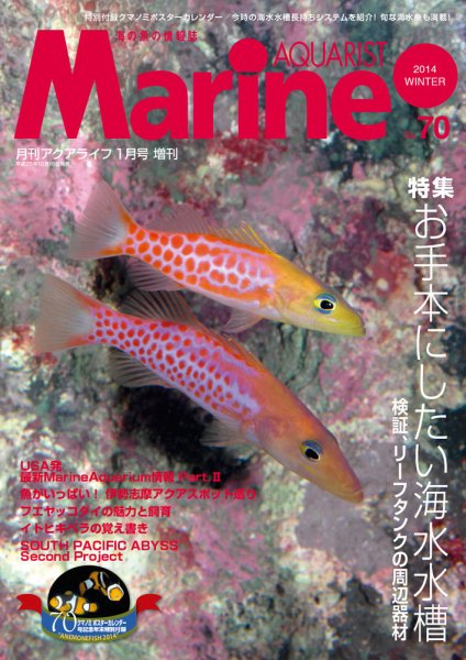 マリンアクアリスト No.70 (発売日2013年12月19日) 表紙