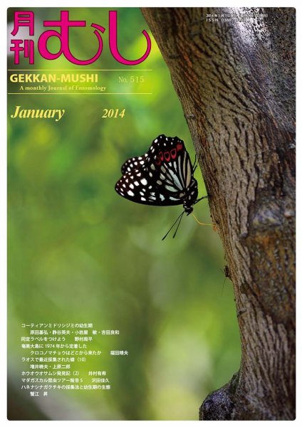 月刊むし 515 (発売日2013年12月21日) 表紙