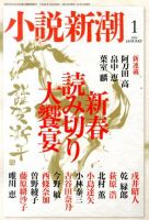 小説新潮 1月号 (発売日2013年12月21日) 表紙