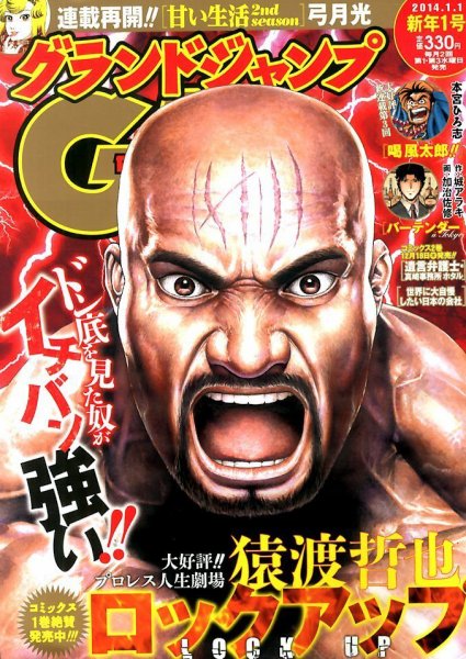 グランドジャンプ 1/1号 (発売日2013年12月04日) 表紙