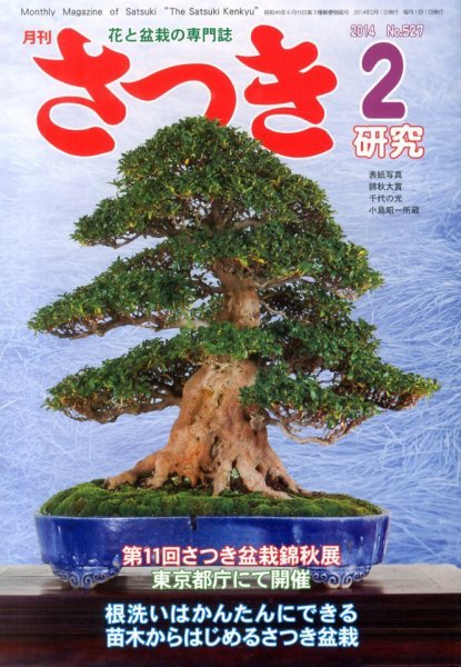 さつき研究 2月号 (発売日2013年12月27日) 表紙