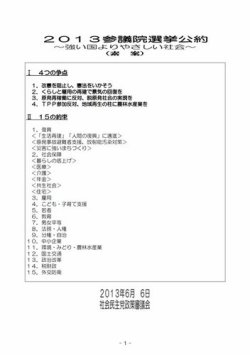 第23回参議院議員選挙 1 (発売日2013年06月14日) 表紙