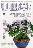 趣味の山野草のバックナンバー (3ページ目 45件表示) | 雑誌