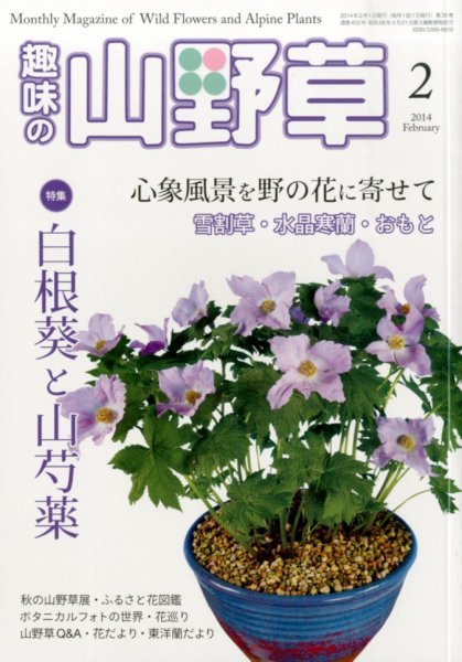 趣味の山野草 2月号 (発売日2014年01月11日) 表紙