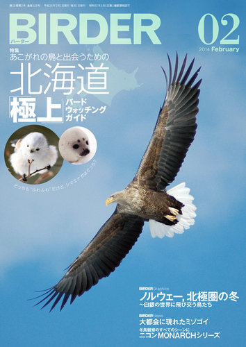 新素材新作 の落札相場・落札価格 BIRDER ワシ・タカなど猛禽類特集号 