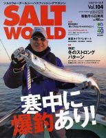 SALT WORLD（ソルトワールド） 2014年2月号 (発売日2014年01月15日) 表紙