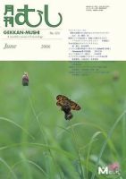 月刊むし 424 表紙