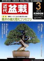 月刊 近代盆栽 3月号 表紙