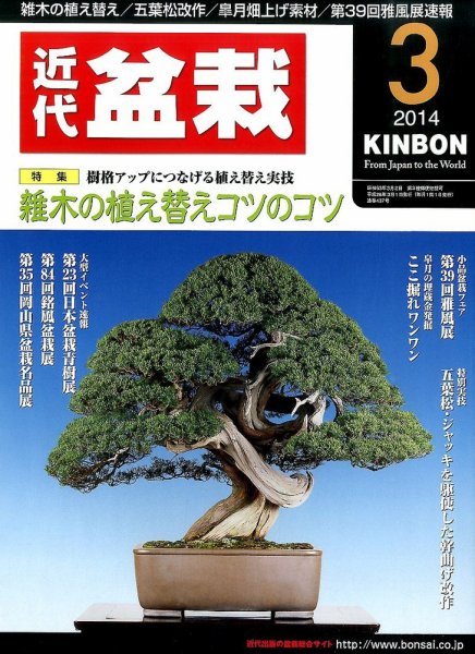 月刊 近代盆栽 3月号 (発売日2014年02月04日) 表紙