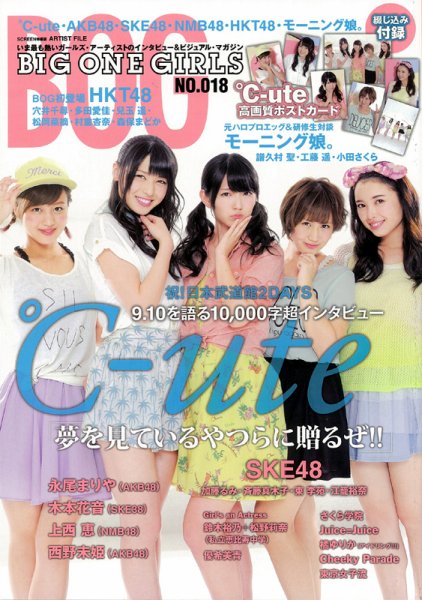 BIG ONE GIRLS（ビッグワンガールズ） NO.018 (発売日2013年08月28日) 表紙
