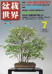 盆栽世界 2012年7月号 (発売日2012年06月04日) 表紙