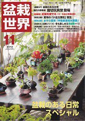 盆栽世界 2012年11月号 (発売日2012年10月04日) 表紙