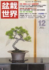 盆栽世界 2012年12月号 (発売日2012年11月02日) 表紙