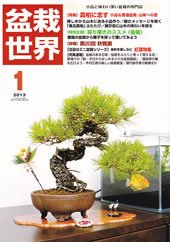 盆栽世界 2013年1月号 (発売日2012年12月04日) 表紙