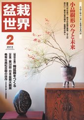 盆栽世界 2013年2月号 (発売日2013年01月04日) 表紙