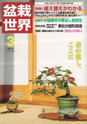 盆栽世界 2013年3月号 (発売日2013年02月04日) 表紙