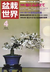 盆栽世界 2013年4月号 (発売日2013年03月04日) 表紙