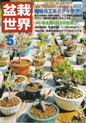 盆栽世界 2013年5月号 (発売日2013年04月04日) 表紙