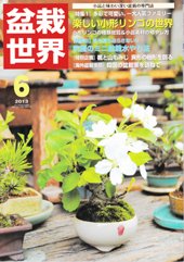 盆栽世界 2013年6月号 (発売日2013年05月02日) 表紙