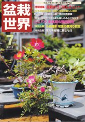 盆栽世界 2013年7月号 (発売日2013年06月04日) 表紙