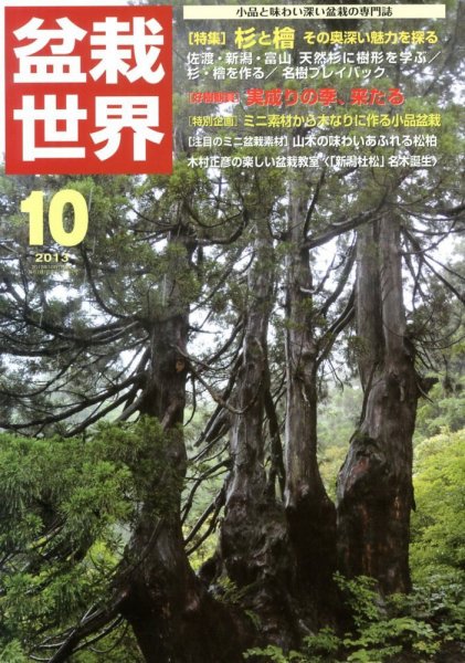 盆栽世界 2013年10月号 (発売日2013年09月04日) 表紙