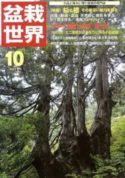 盆栽世界 2013年10月号 (発売日2013年09月04日) 表紙