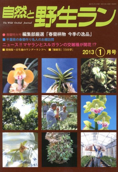 園芸Japan 2013年1月号 (発売日2012年12月12日) 表紙