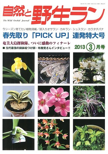 園芸japan 13年3月号 発売日13年02月12日 雑誌 定期購読の予約はfujisan