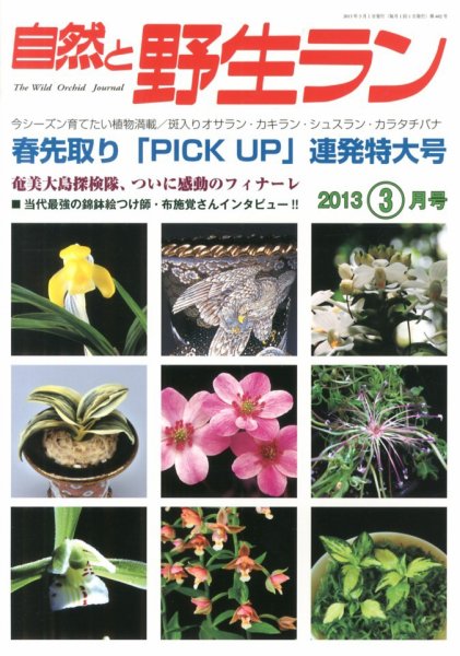 園芸Japan 2013年3月号 (発売日2013年02月12日) 表紙