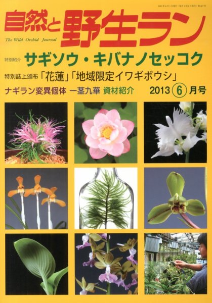 園芸Japan 2013年6月号 (発売日2013年05月11日) 表紙