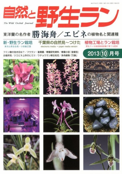 園芸Japan 2013年10月号 (発売日2013年09月12日) 表紙