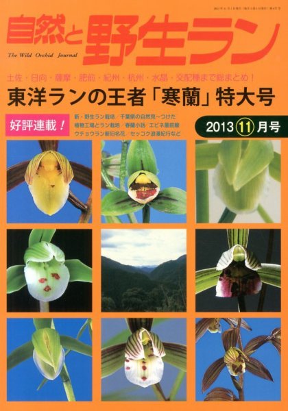 園芸Japan 2013年11月号 (発売日2013年10月12日) 表紙