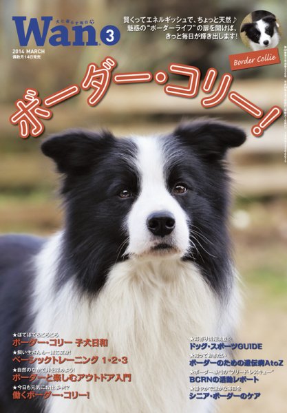 wan（わん） 2014年3月号 (発売日2014年02月14日) 表紙