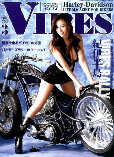 VIBES（バイブズ） 3月号 (発売日2014年02月10日) 表紙