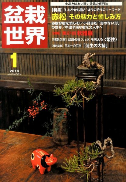 盆栽世界 2014年１月号 (発売日2013年12月04日) 表紙