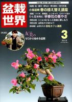 盆栽世界のバックナンバー (4ページ目 45件表示) | 雑誌/電子