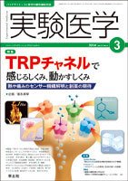 実験医学 Vol.32No.4 (発売日2014年02月20日) 表紙