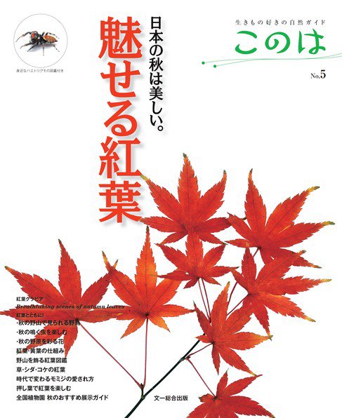 生きもの好きの自然ガイド「このは」 No.5 (発売日2013年09月10日) 表紙