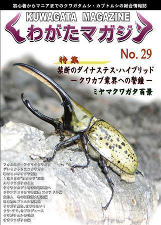 くわがたマガジン 29号 (発売日2006年05月30日) 表紙