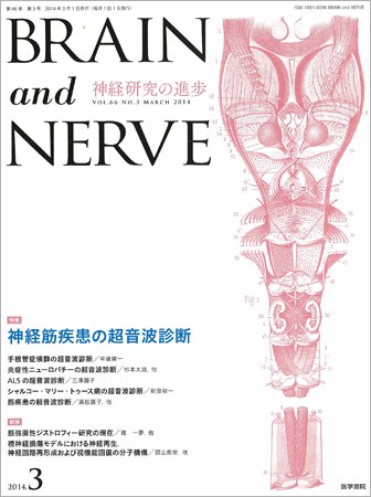 BRAIN and NERVE（ブレインアンドナーブ） Vol.66 No.3 (発売日2014年03月01日) 表紙