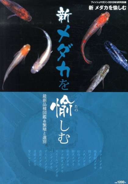 増刊 フィッシュマガジン 新メダカを愉しむ (発売日2013年07月31日) 表紙