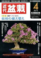 月刊 近代盆栽 2014年4月号 表紙