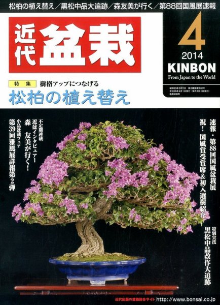 月刊 近代盆栽 2014年4月号 (発売日2014年03月04日) 表紙