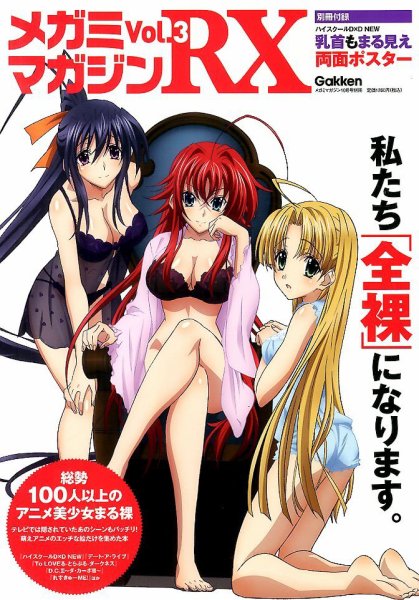 メガミマガジンRX vol.3 (発売日2013年08月16日) 表紙
