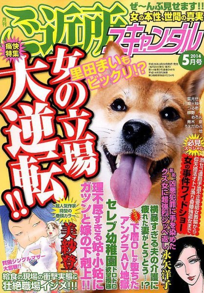 月刊 ご近所スキャンダル 2014年5月号 (発売日2014年03月22日) 表紙