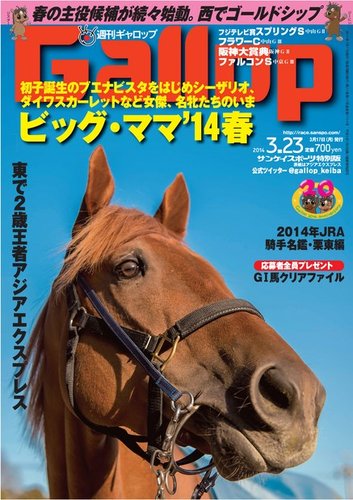 アグネスゴールド 週刊Gallop 沁み パネル