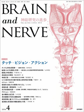BRAIN and NERVE（ブレインアンドナーブ） Vol.66 No.4 (発売日2014年04月01日) 表紙